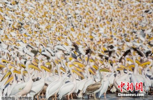 ���������һҳ