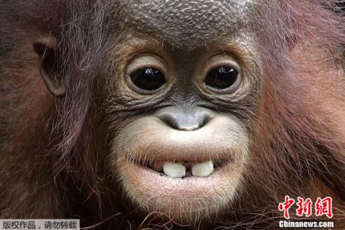 ���������һҳ