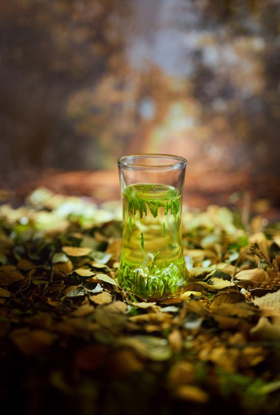 ����ʮ�£��ٲ���һ����ü��ɽ�̲�