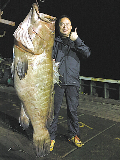 男子钓到长1.7米重51公斤石斑鱼分享
