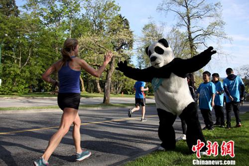 ���������һҳ