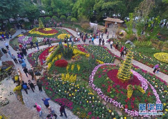 (社会)(3)福建:金秋菊展喜迎八方游客