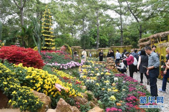 (社会)(1)福建:金秋菊展喜迎八方游客