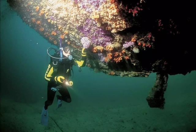 准备好了吗?世界10大潜水胜地等着你