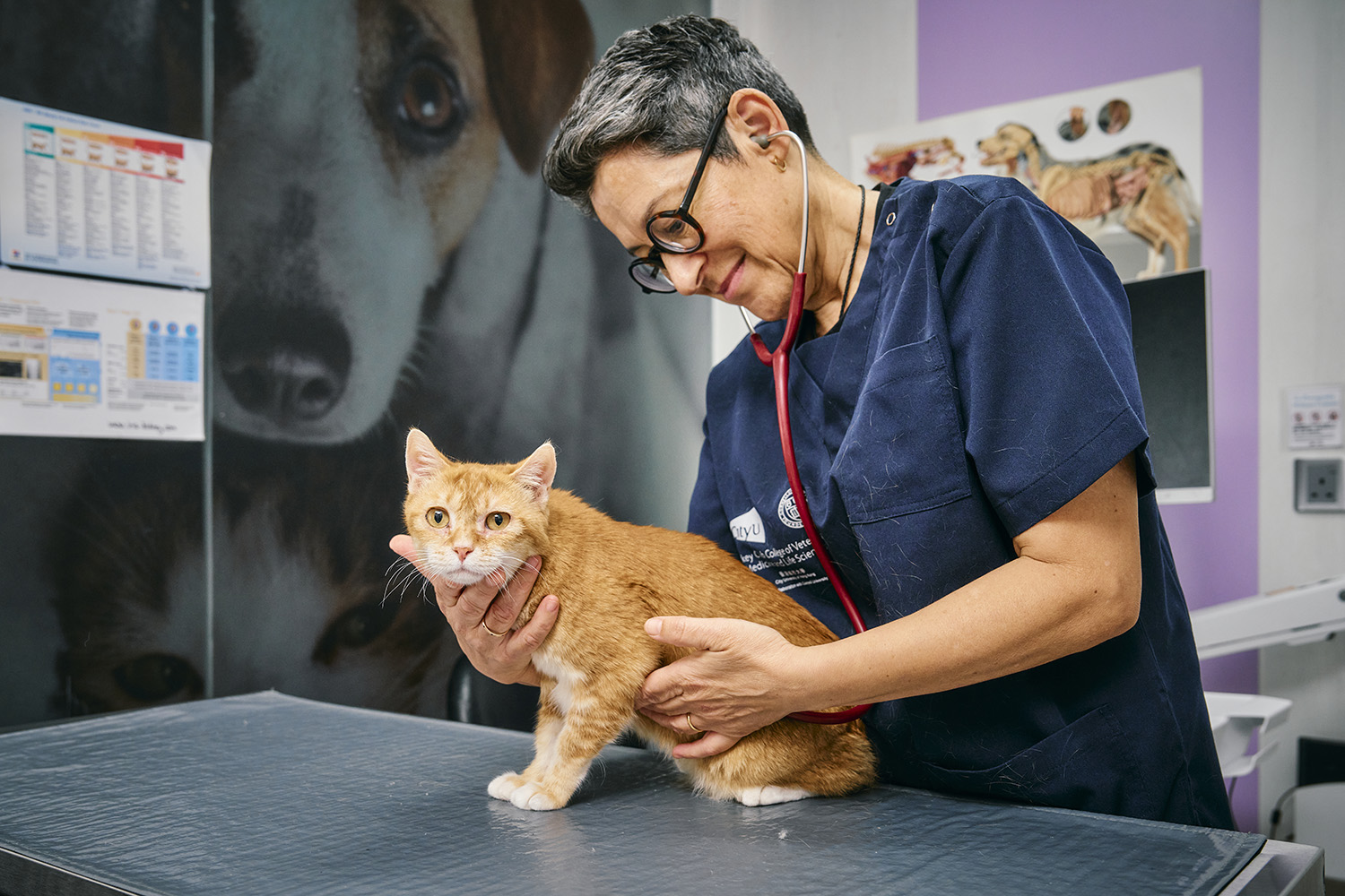 ͼ1_Beatty�����쵼���о��Ŷӣ�����ڡ�Nature Reviews Cancer�������������£��ӱȽ�����ѧ�Ƕȣ�����è�������������Ϊ��������ѧ�벡���°�����.jpg