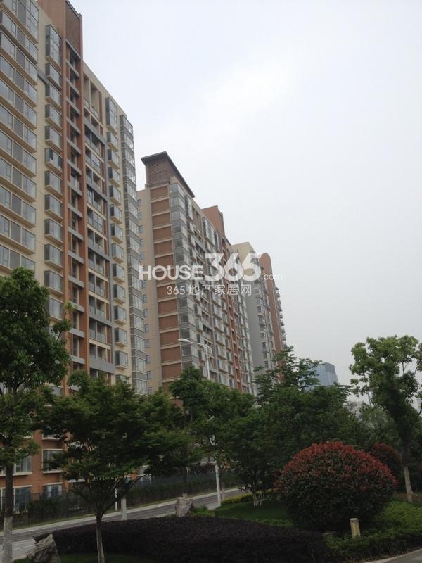 10.21�鱨վ������ĩ�������� ����ĳ�����̽��׿�