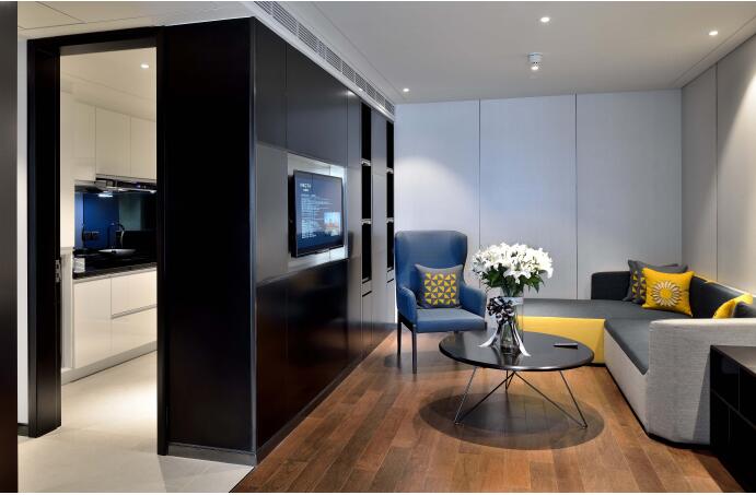 朱克平:剖析公寓广金时代---金奥缤润汇