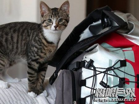 高地探险 懒猫的背包户外行