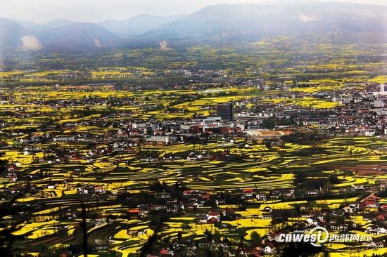 一起去汉中看油菜花海大片 自驾摄影线路全推荐