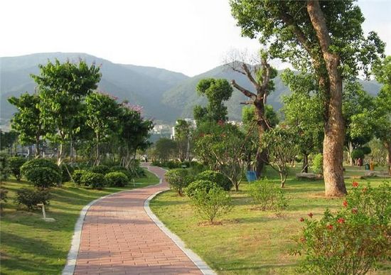 草长莺飞踏青季 广州春季自驾线路